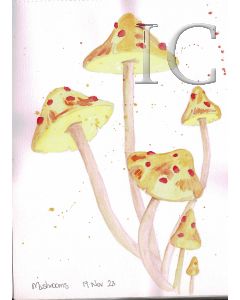 mushrooms