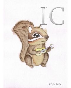 squirrel